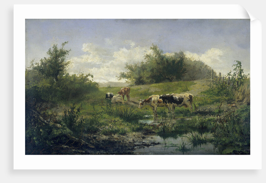 Cows in a Puddle by Gerard Bilders