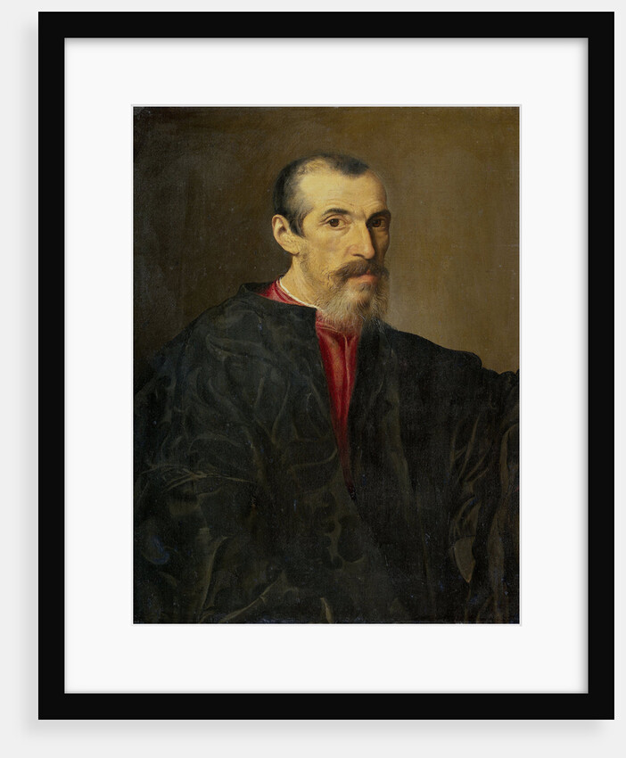 Portrait of a Man by Anonymous