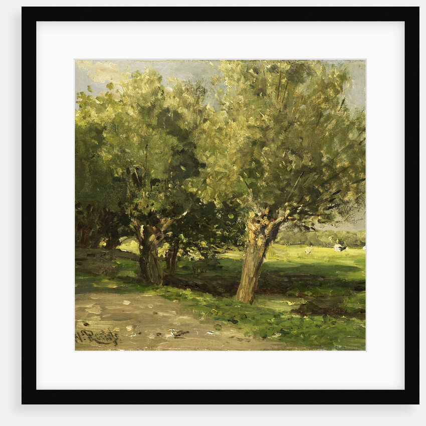 Willows by Willem Roelofs I