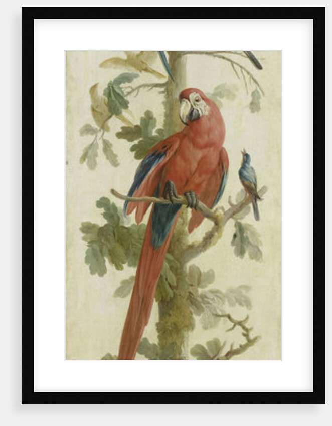 Decorative Depiction with Plants and Animals by Anonymous
