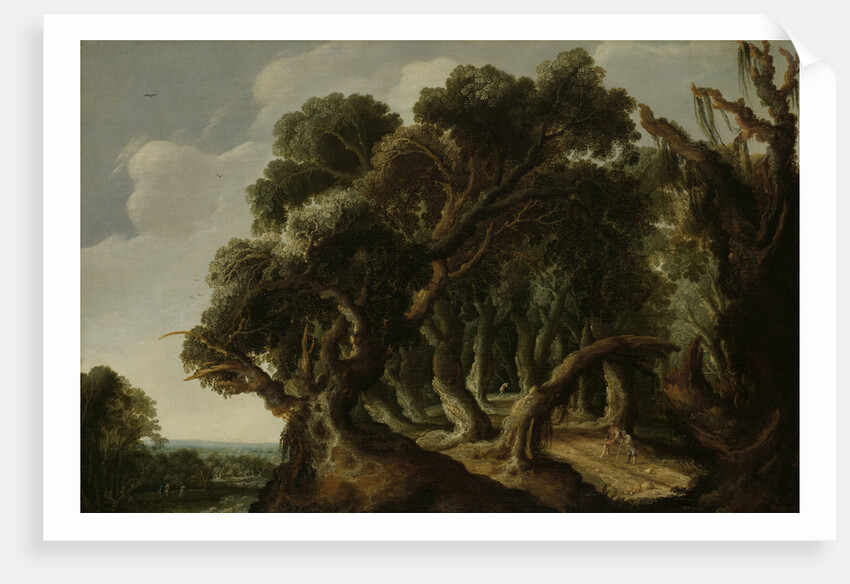 Wooded Landscape by Jacob Jacobsz van Geel