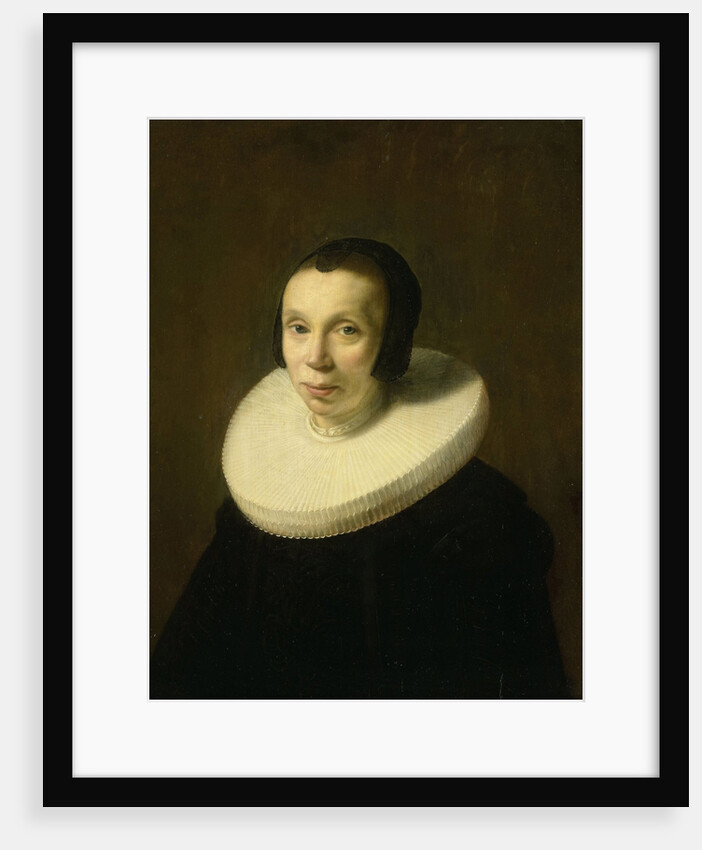 Portrait of a Woman by Abraham de Vries