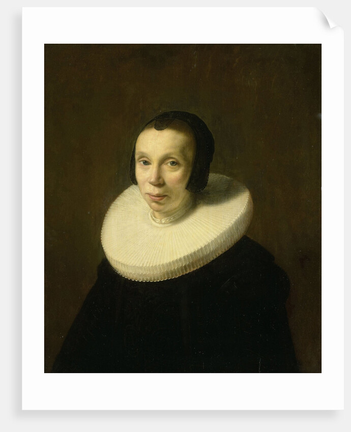 Portrait of a Woman by Abraham de Vries