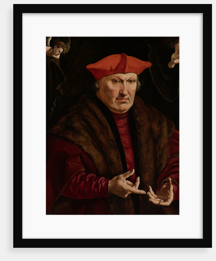 Portrait of Erard de la Marck by Jan Cornelisz Vermeyen