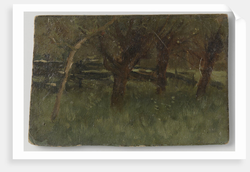 Orchard by Geo Poggenbeek