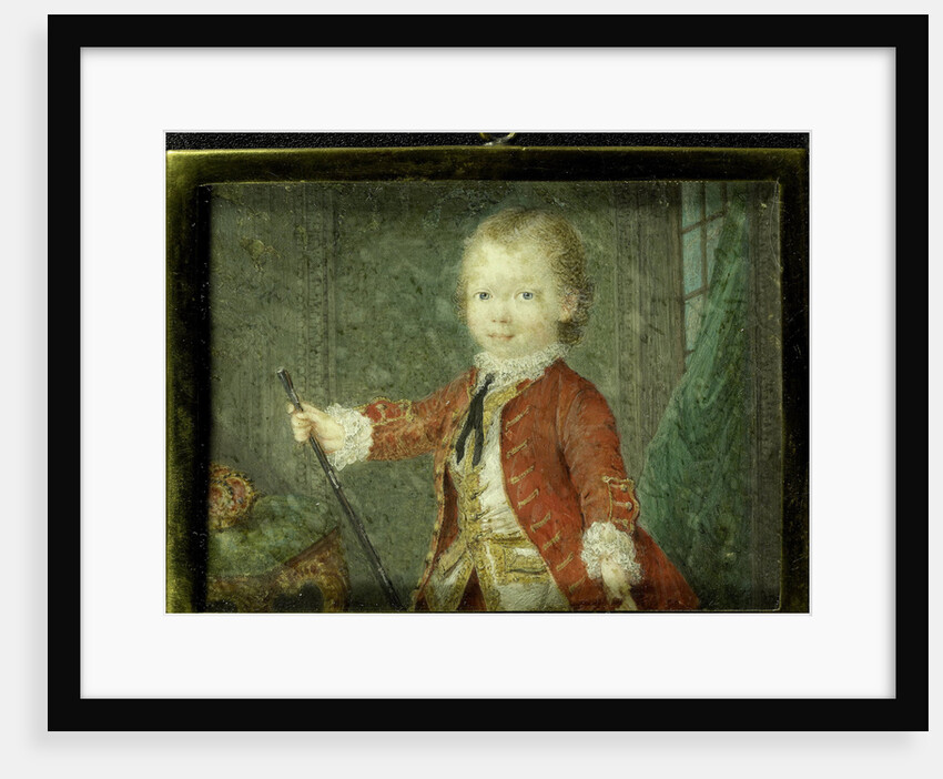Willem V by Robert Mussard