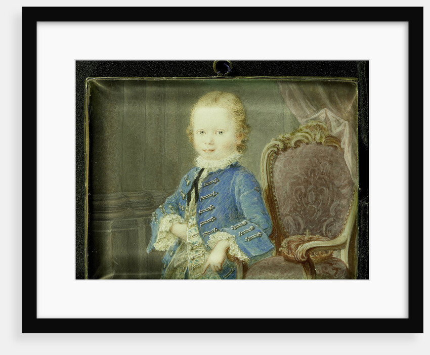 Willem V by Robert Mussard