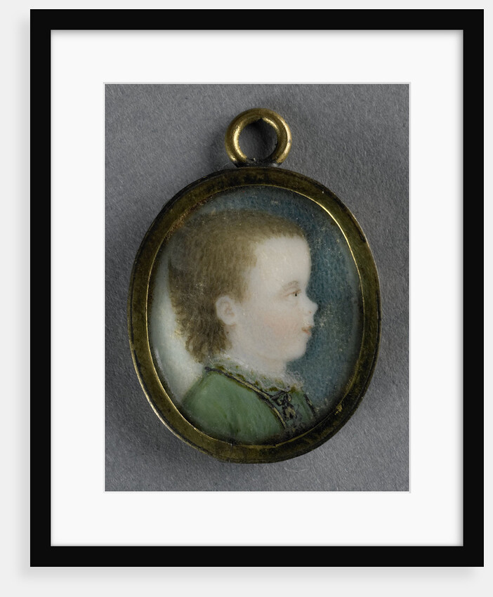 Willem George Frederik by Pieter Lesage
