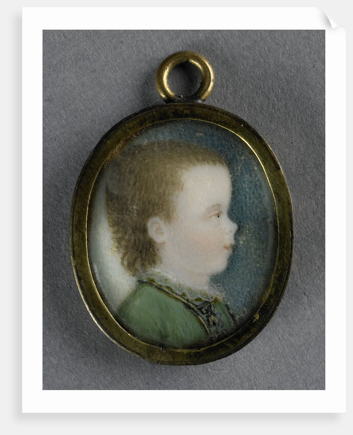 Willem George Frederik by Pieter Lesage