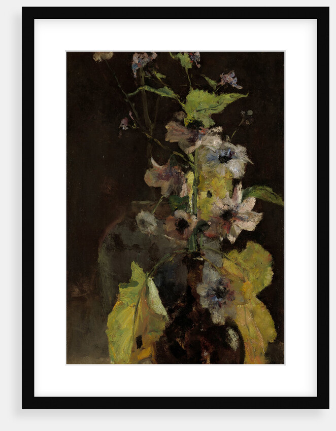 Anemones by Floris Verster