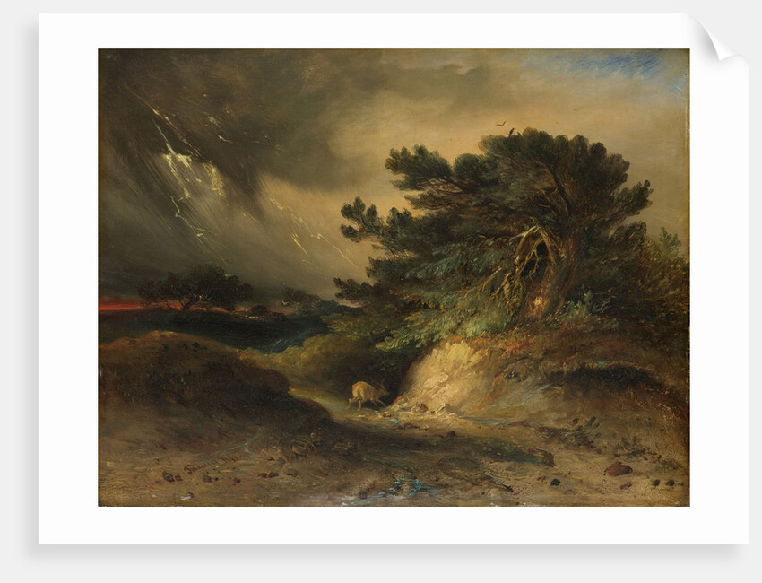 The Thunderstorm by Johannes Tavenraat