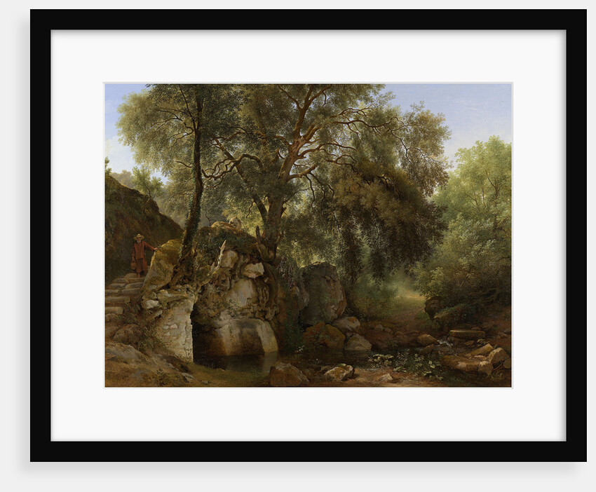 View in the Park of the Villa Chigi at Ariccia by Abraham Teerlink