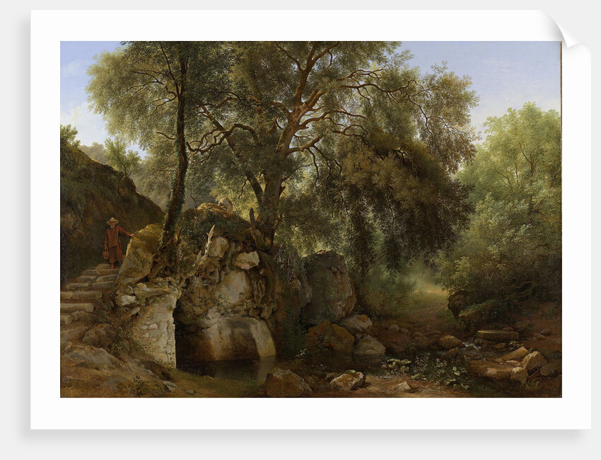 View in the Park of the Villa Chigi at Ariccia by Abraham Teerlink