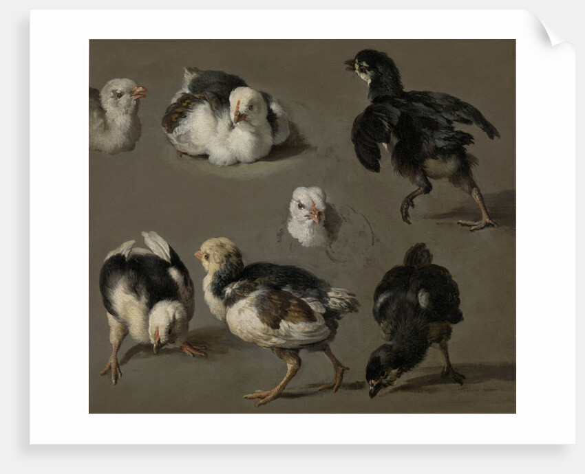 Seven Chicks by Melchior d' Hondecoeter