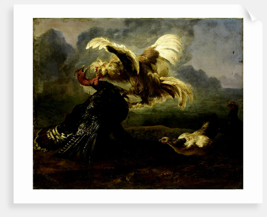 Fighting Birds by Anonymous