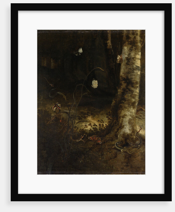 Forest Floor with a Snake, Lizards, Butterflies and other Insects by Otto Marseus van Schrieck