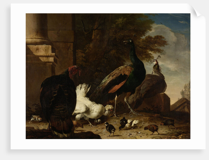 A Hen with Peacocks and a Turkey by Melchior d' Hondecoeter