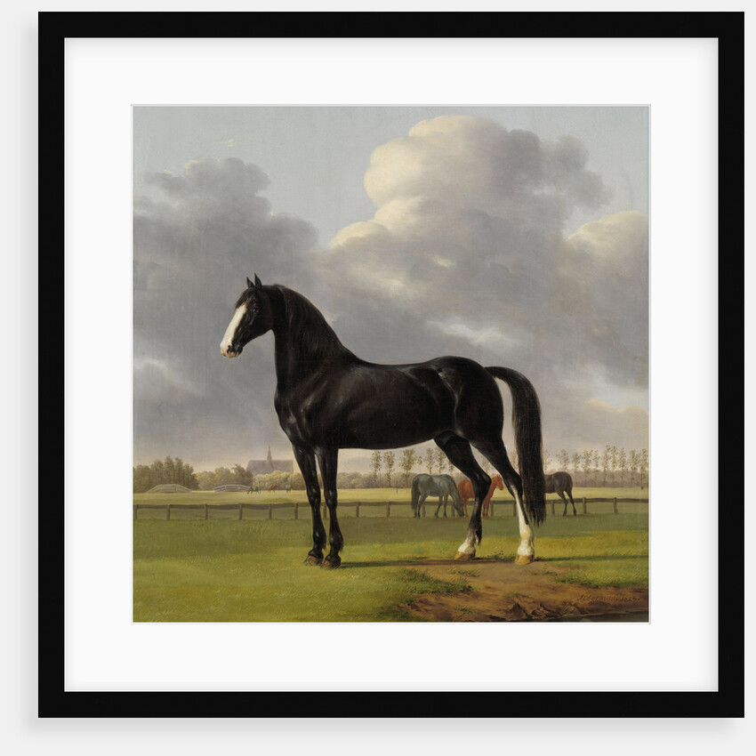 Adriaan van der Hoop’s Trotter ‘De Vlugge’, The Fast One in a Meadow by Anthony Oberman