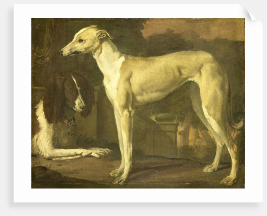 Portrait of a Greyhound and Spaniel by Jan Weenix