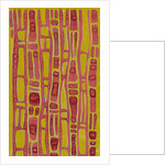 Organic abstraction 5 by Heinrich Martin