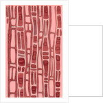 Organic abstraction 10 by Heinrich Martin