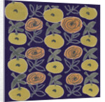 Flowers from my garden 4 by Kirsty Steward