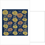 Flowers from my garden 5 by Kirsty Steward