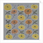 Flowers from my garden 11 by Kirsty Steward