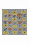 Flowers from my garden 11 by Kirsty Steward