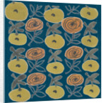 Flowers from my garden 12 by Kirsty Steward