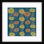 Flowers from my garden 12 by Kirsty Steward