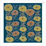 Flowers from my garden 12 by Kirsty Steward