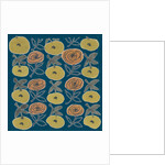 Flowers from my garden 12 by Kirsty Steward