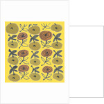 Flowers from my garden 16 by Kirsty Steward