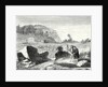 Salomon De Caus Directs the Creation of the Gardens of Heidelberg by Anonymous