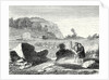 Salomon De Caus Directs the Creation of the Gardens of Heidelberg by Anonymous