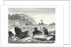 Salomon De Caus Directs the Creation of the Gardens of Heidelberg by Anonymous