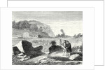 Salomon De Caus Directs the Creation of the Gardens of Heidelberg by Anonymous