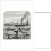 The First Steamship in Africa by Anonymous