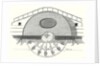 Impeller of a Steamboat by Anonymous