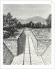 Railway Trench by Anonymous