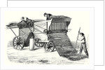 Machine to Beat Grain Sheaves by Anonymous