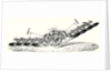 M. Fowler's Steam Plough by Anonymous