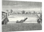 Steam Ploughing by Anonymous