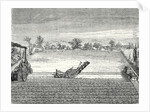 Steam Ploughing by Anonymous