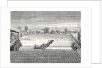 Steam Ploughing by Anonymous