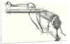 English Electric Machine Built (1750) by Anonymous