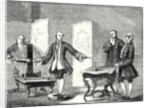 The Discovery of the Physicist Jallabert the Power of Spikes by Anonymous