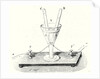 Apparatus for the Decomposition of Water by Anonymous