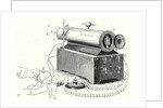 The Device of M. Duchenne (De Boulogne) by Anonymous